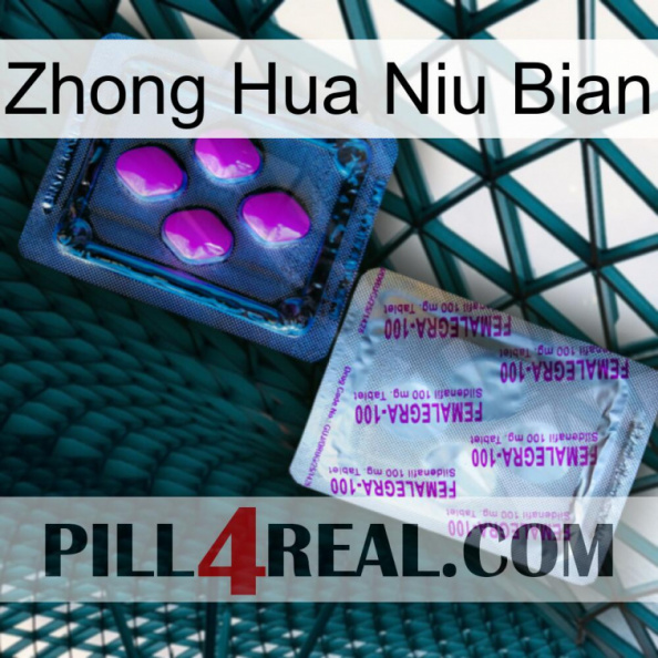 Zhong Hua Niu Bian 37
